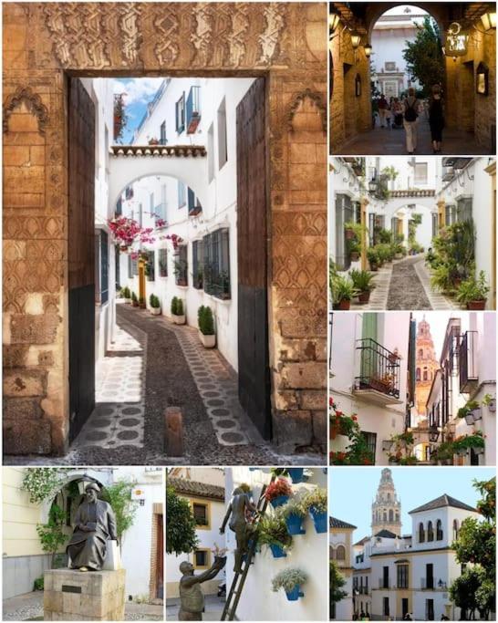 Apartamento Centrico En El Casco Historico De Córdoba Exteriör bild