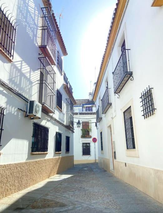 Apartamento Centrico En El Casco Historico De Córdoba Exteriör bild