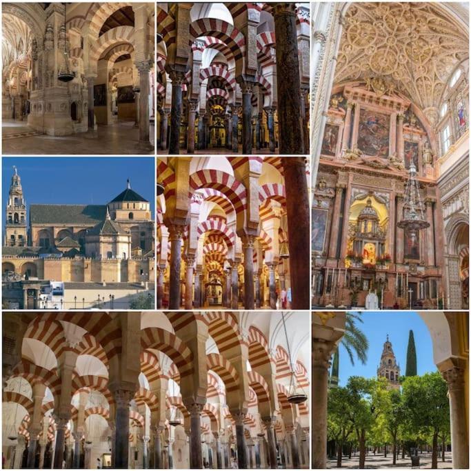 Apartamento Centrico En El Casco Historico De Córdoba Exteriör bild